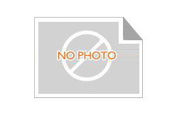 ZGAQ-01296 Disc for R200W7 Hyundai Excavator