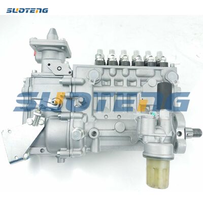 0423-4301 Fuel Injection Pump for BF6L914 Engine